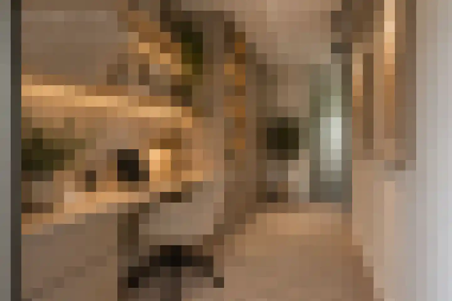 Brahmsstraat 240 Capelle aan den IJssel thumbnail 23