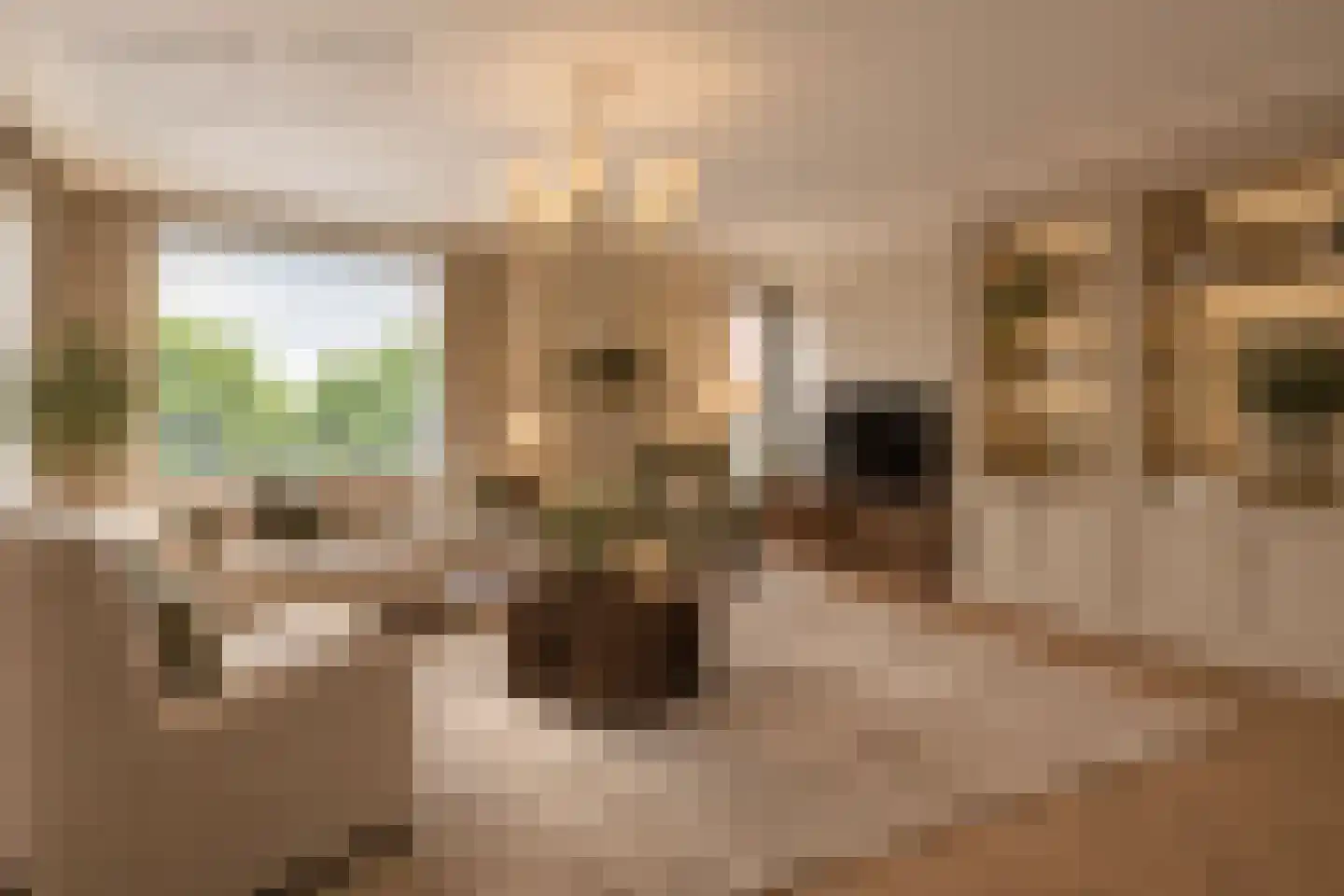 Brahmsstraat 240 Capelle aan den IJssel thumbnail 4