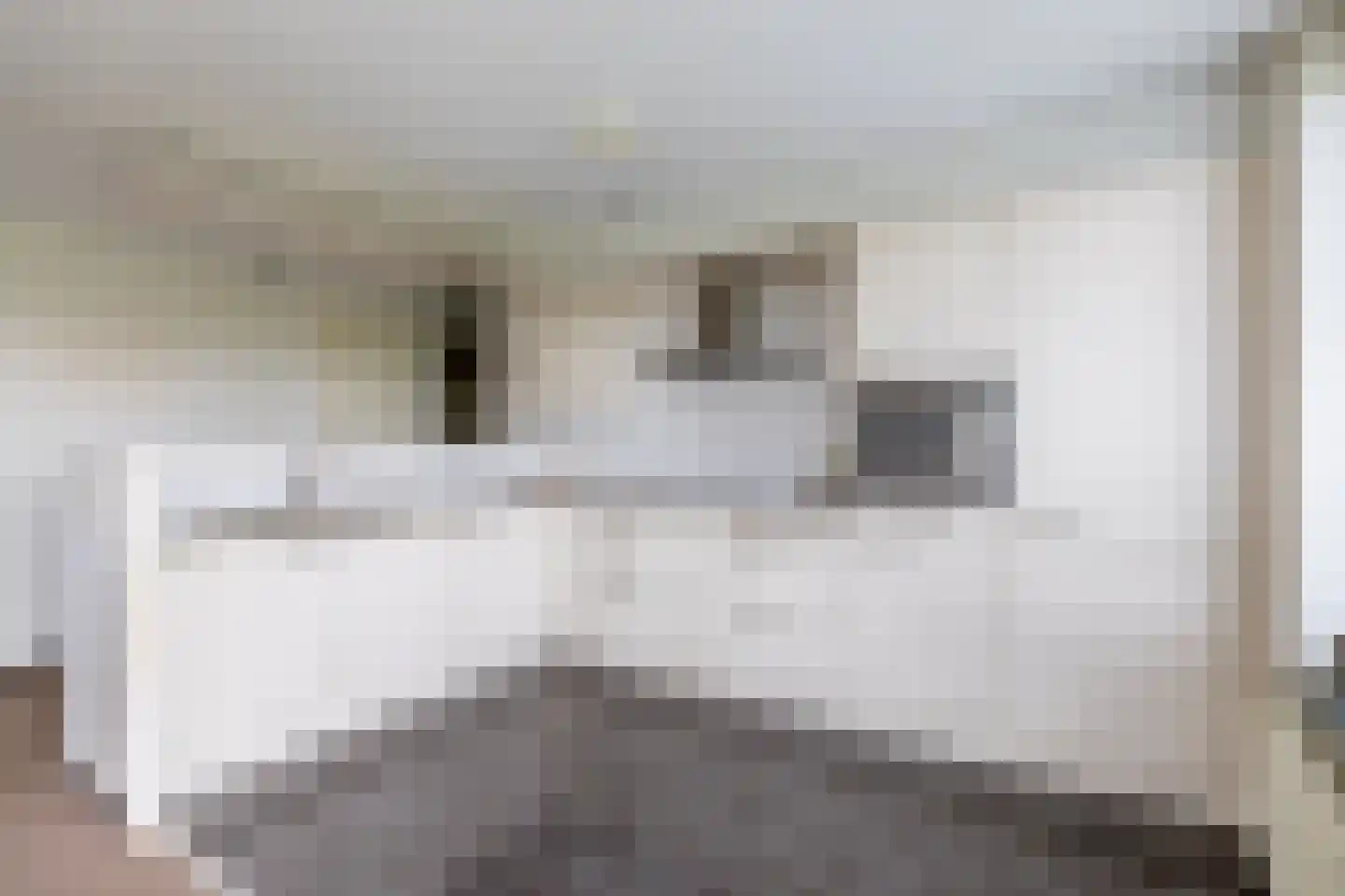 Brahmsstraat 240 Capelle aan den IJssel thumbnail 5