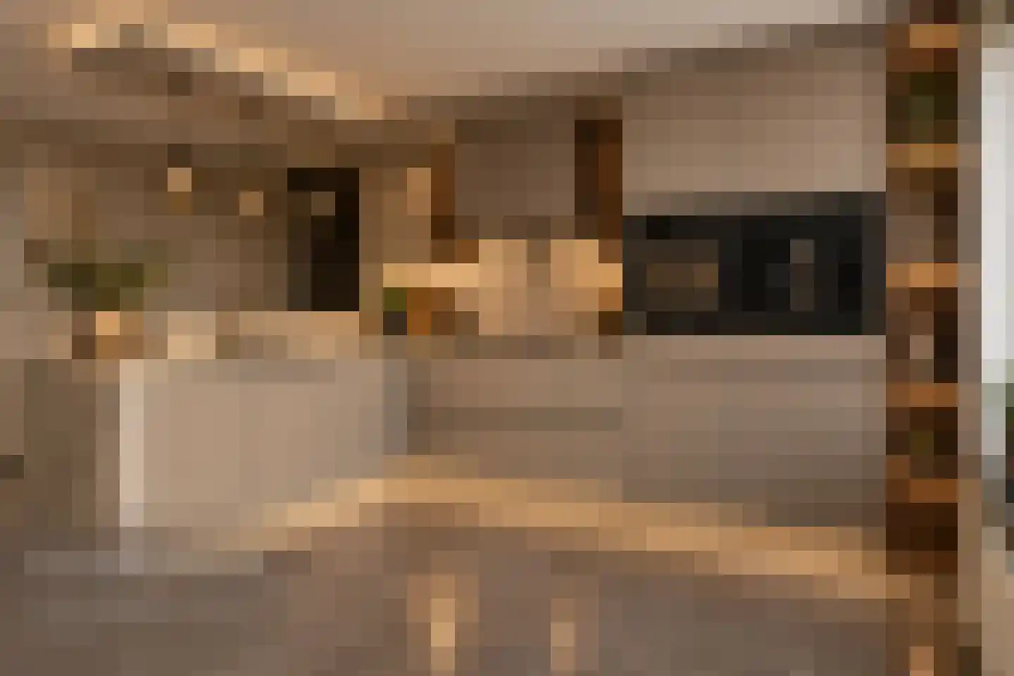 Brahmsstraat 240 Capelle aan den IJssel thumbnail 6