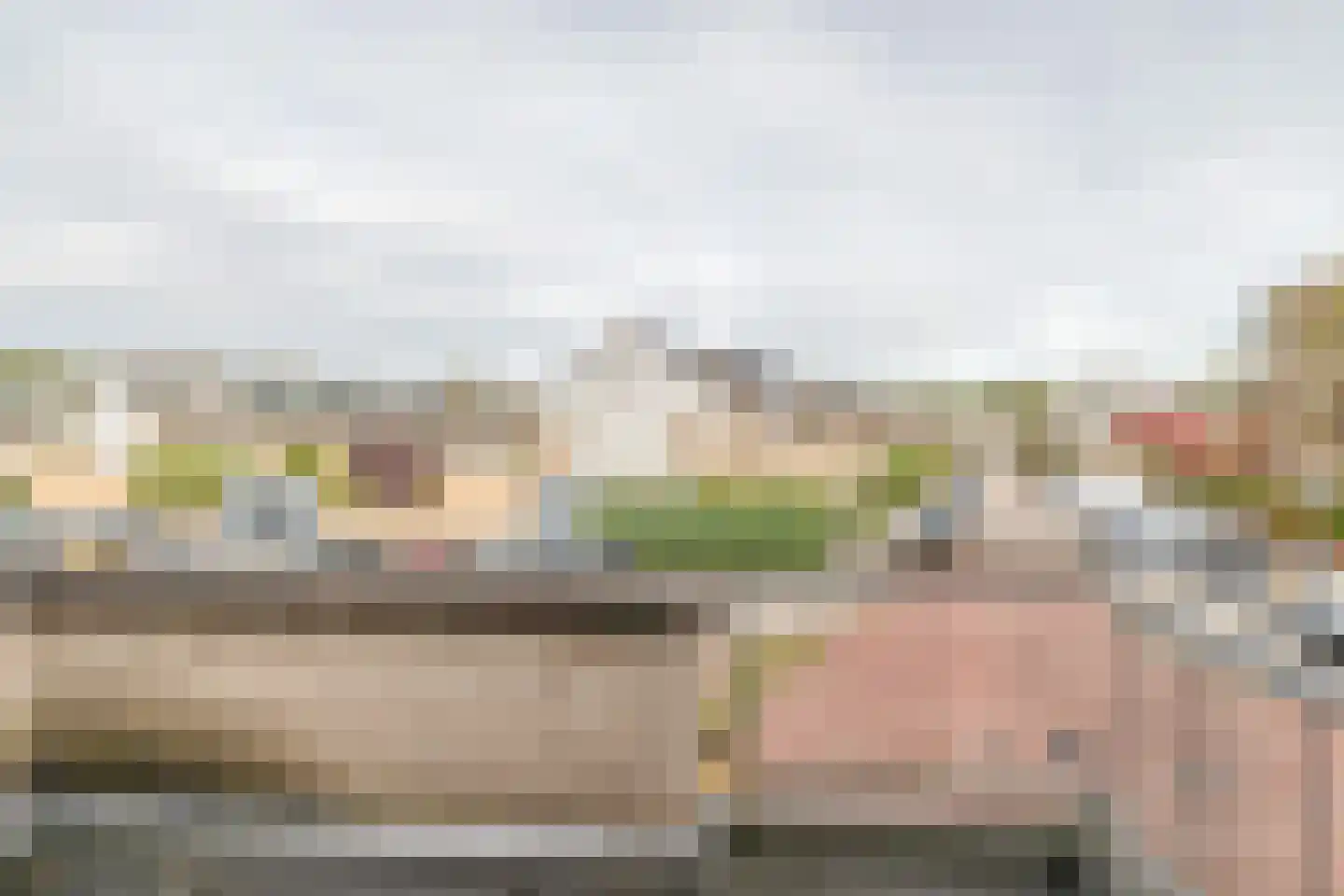 Brahmsstraat 262 Capelle aan den IJssel thumbnail 18
