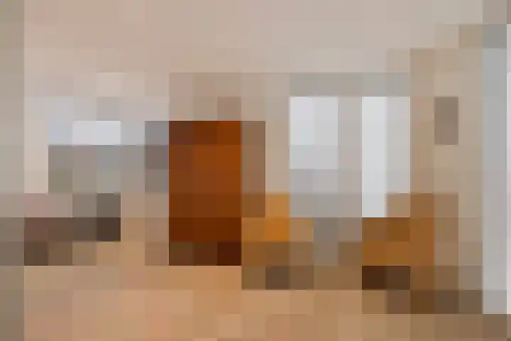 Brahmsstraat 268 Capelle aan den IJssel thumbnail 17