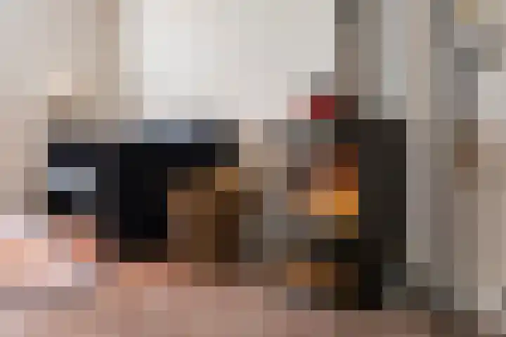 Brahmsstraat 268 Capelle aan den IJssel thumbnail 21