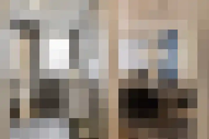 Brahmsstraat 268 Capelle aan den IJssel thumbnail 23