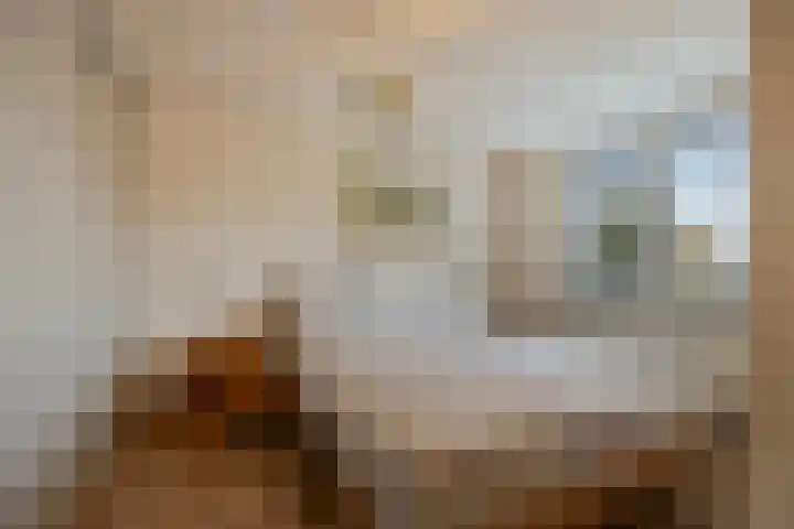 Brahmsstraat 268 Capelle aan den IJssel thumbnail 25