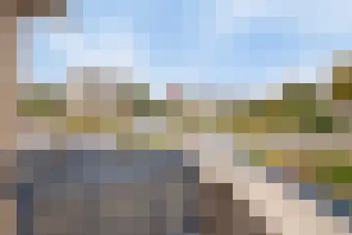 Brahmsstraat 268 Capelle aan den IJssel thumbnail 29