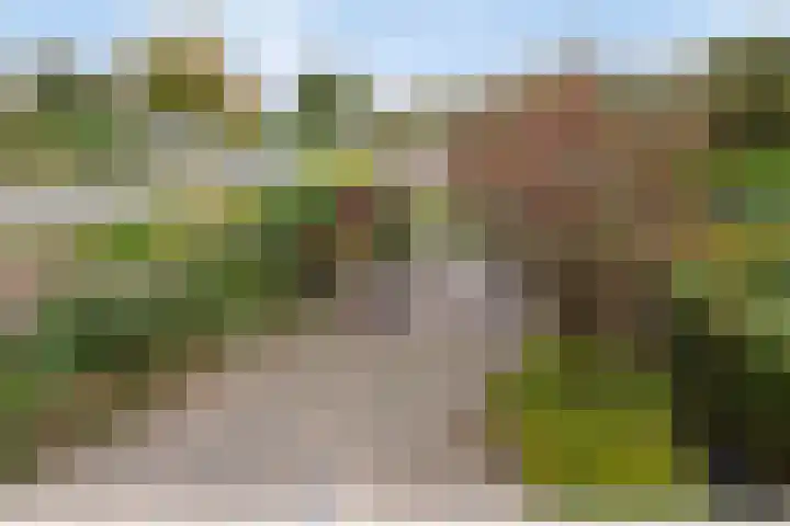 Brahmsstraat 268 Capelle aan den IJssel thumbnail 30