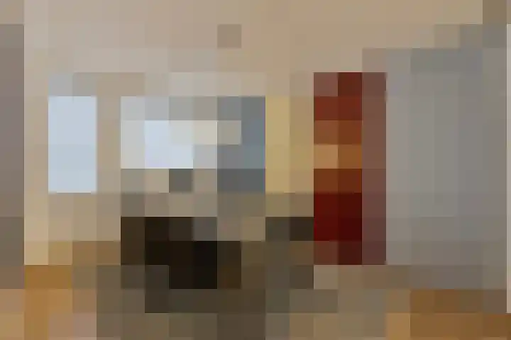 Brahmsstraat 268 Capelle aan den IJssel thumbnail 34
