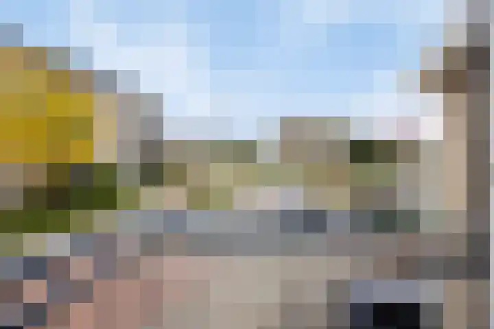 Brahmsstraat 268 Capelle aan den IJssel thumbnail 35
