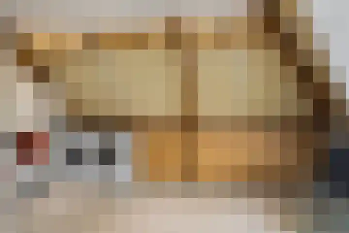 Brahmsstraat 268 Capelle aan den IJssel thumbnail 38