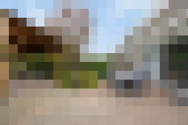 Brahmsstraat 268 Capelle aan den IJssel thumbnail 45