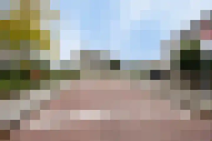 Brahmsstraat 268 Capelle aan den IJssel thumbnail 51
