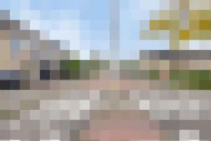 Brahmsstraat 268 Capelle aan den IJssel thumbnail 52