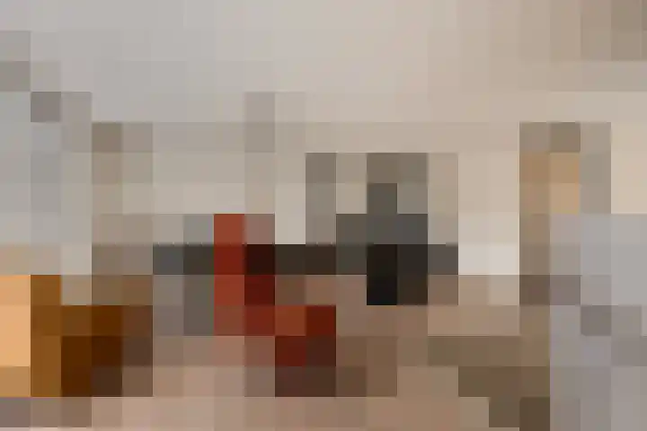 Brahmsstraat 268 Capelle aan den IJssel thumbnail 9