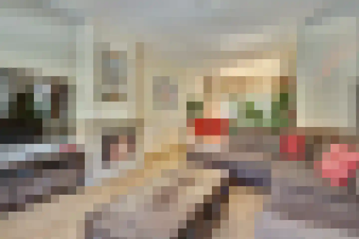Brahmsstraat 3 Culemborg thumbnail 13