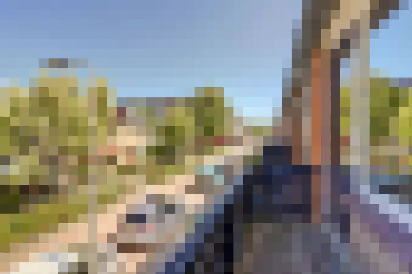 Brahmsstraat 3 Culemborg thumbnail 22