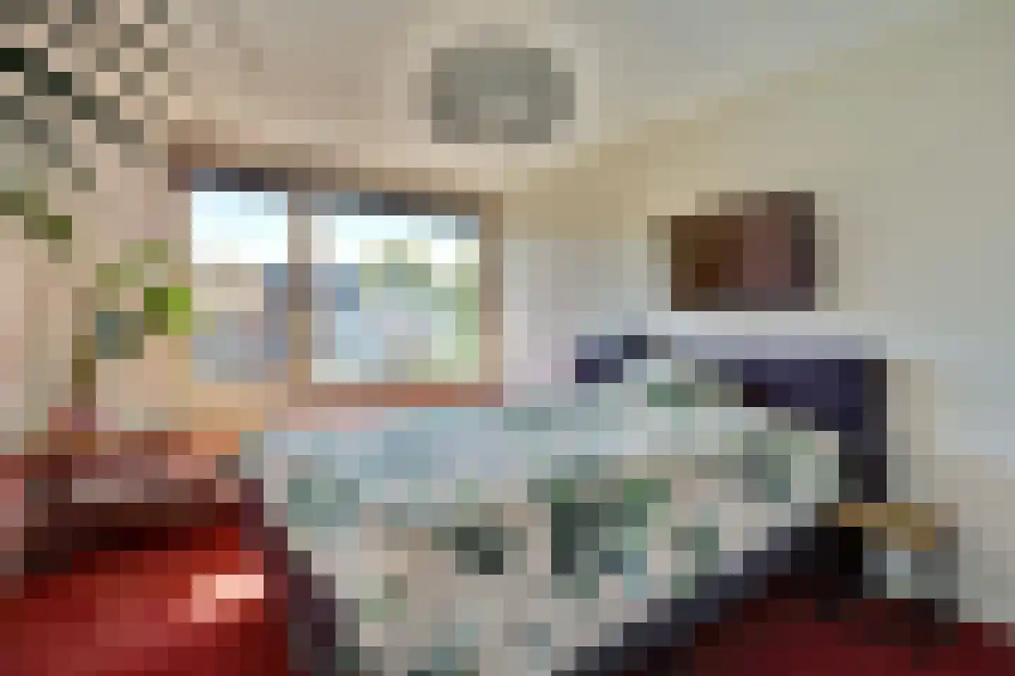 Brahmsstraat 3 Culemborg thumbnail 24