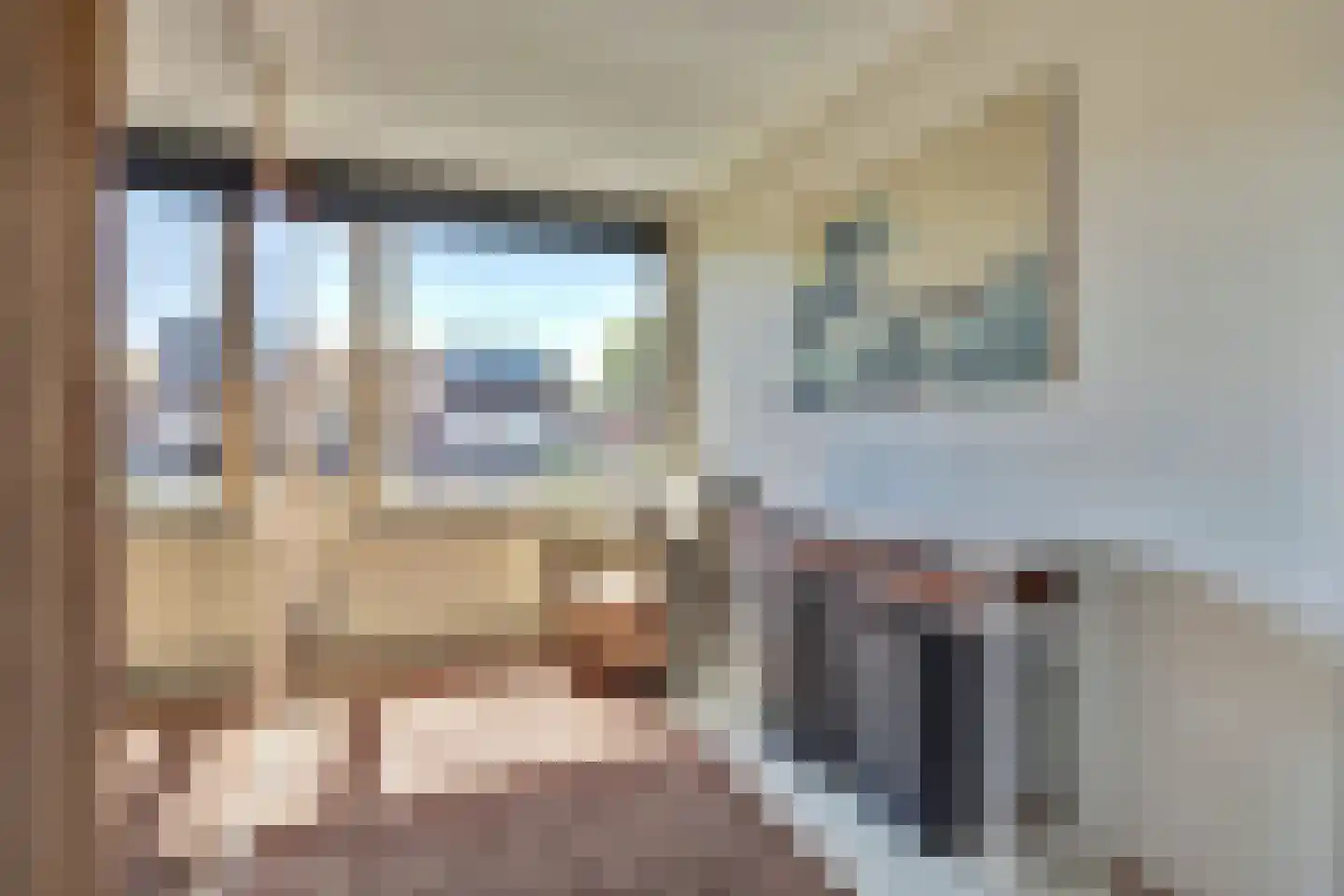 Brahmsstraat 3 Culemborg thumbnail 26