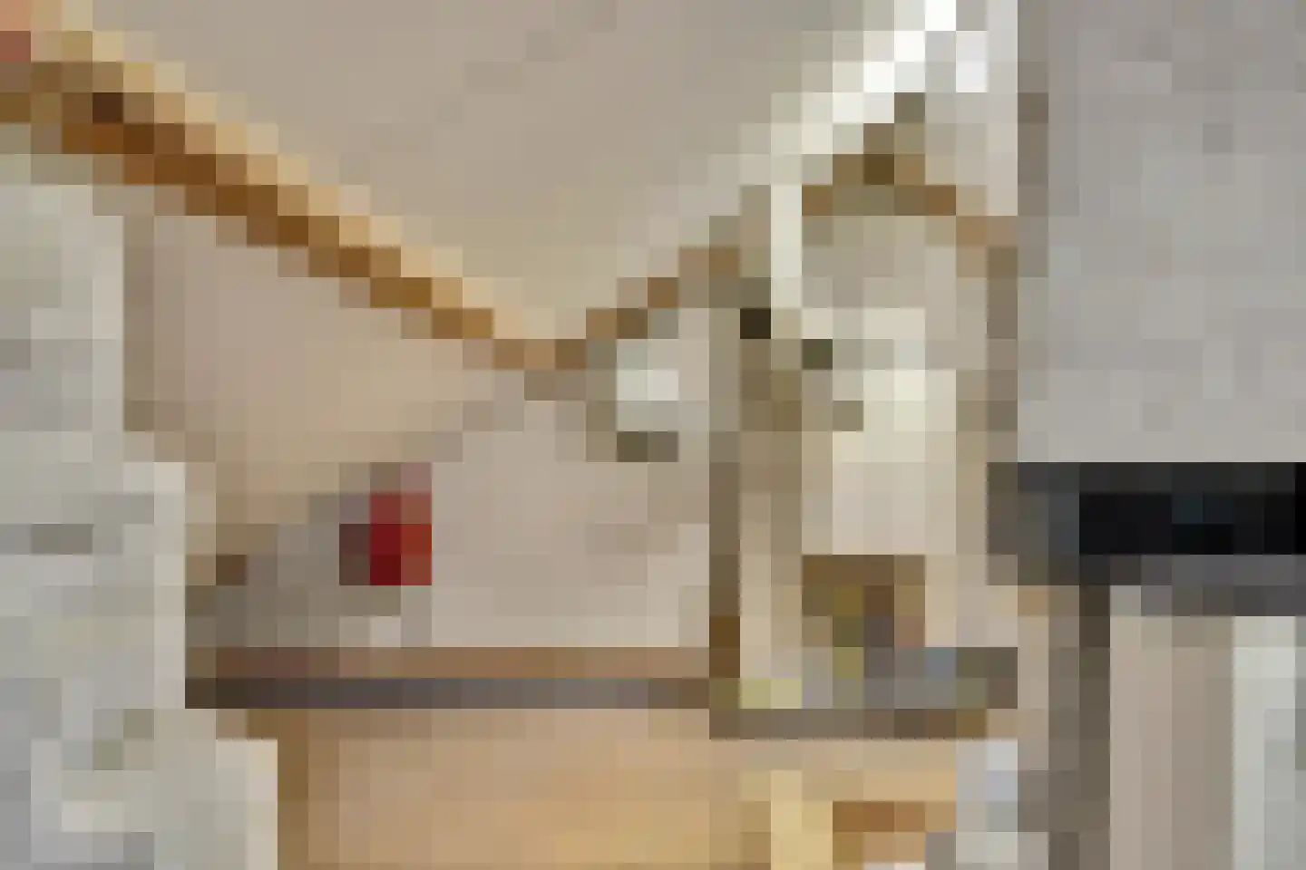 Brahmsstraat 3 Culemborg thumbnail 31