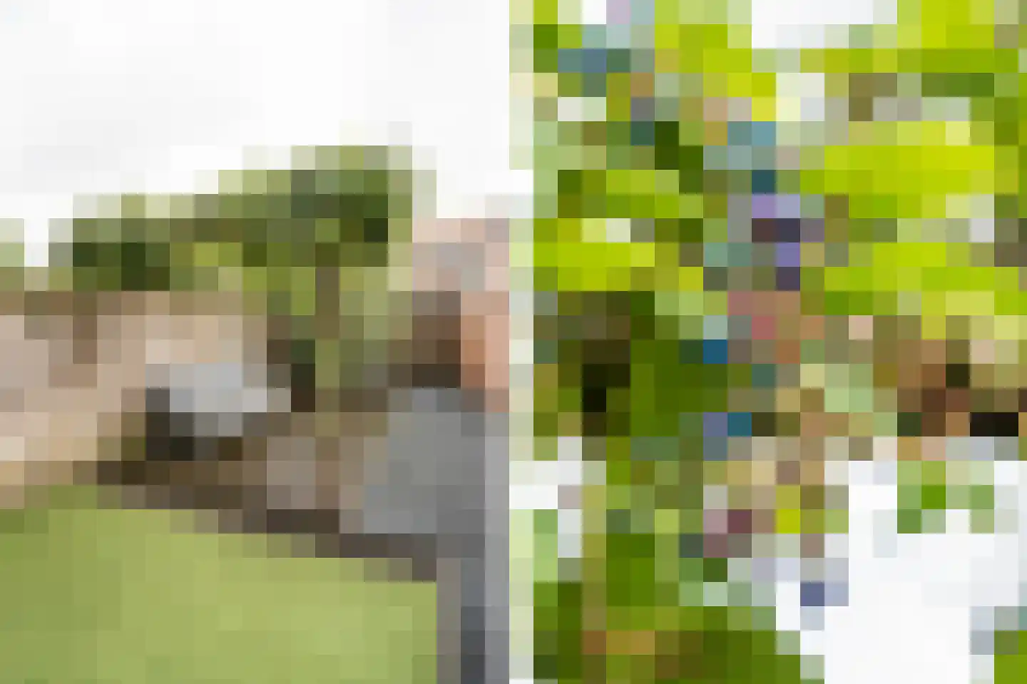 Brahmsstraat 3 Culemborg thumbnail 38