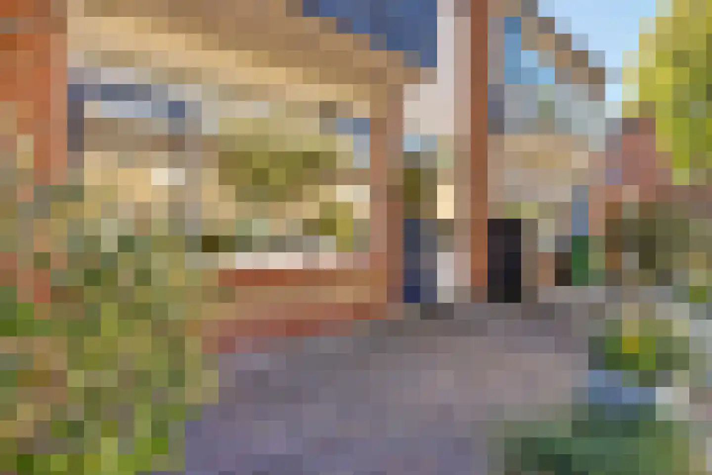Brahmsstraat 3 Culemborg thumbnail 4