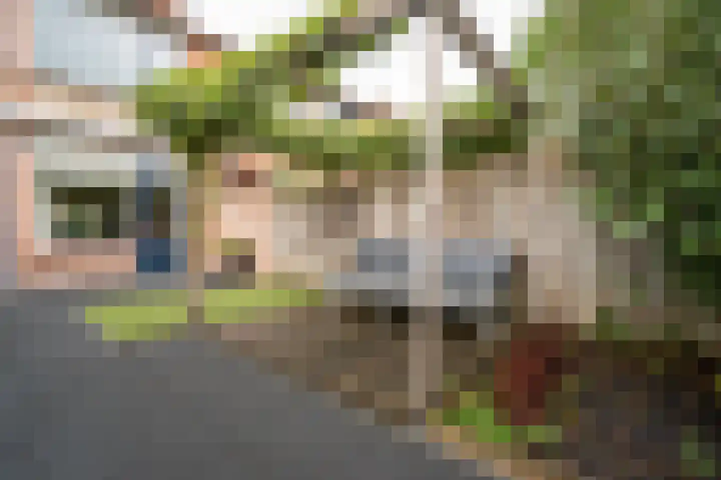 Brahmsstraat 3 Culemborg thumbnail 40