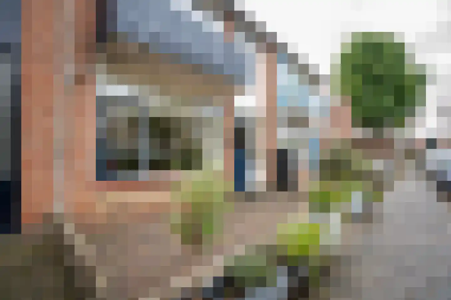Brahmsstraat 3 Culemborg thumbnail 44