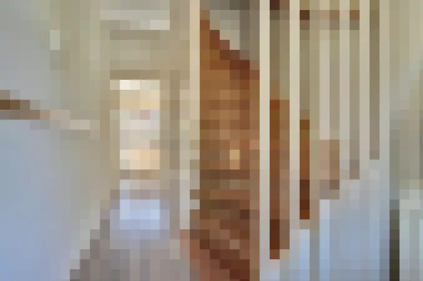 Brahmsstraat 3 Culemborg thumbnail 7