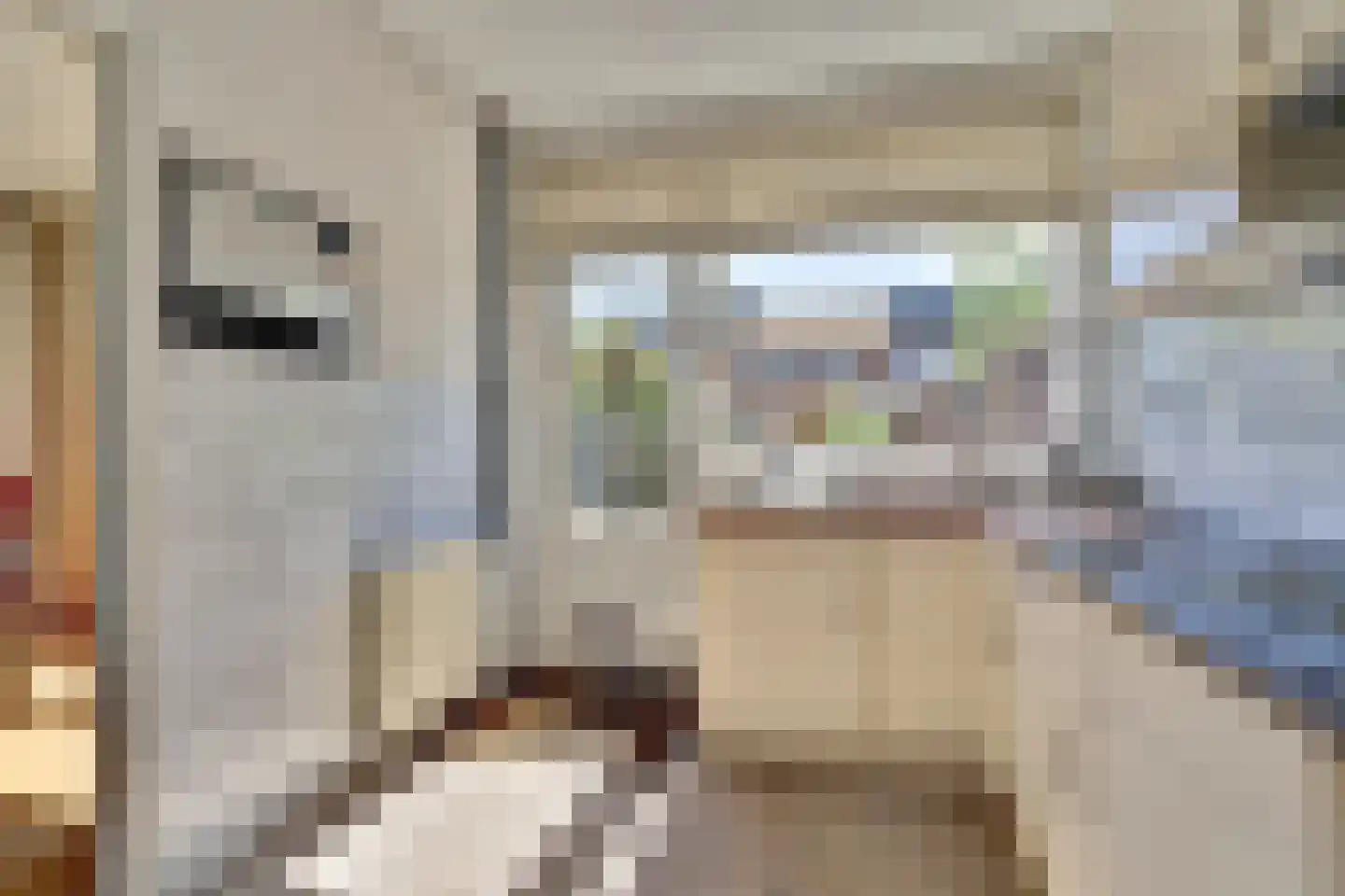 Brahmsstraat 3 Culemborg thumbnail 8