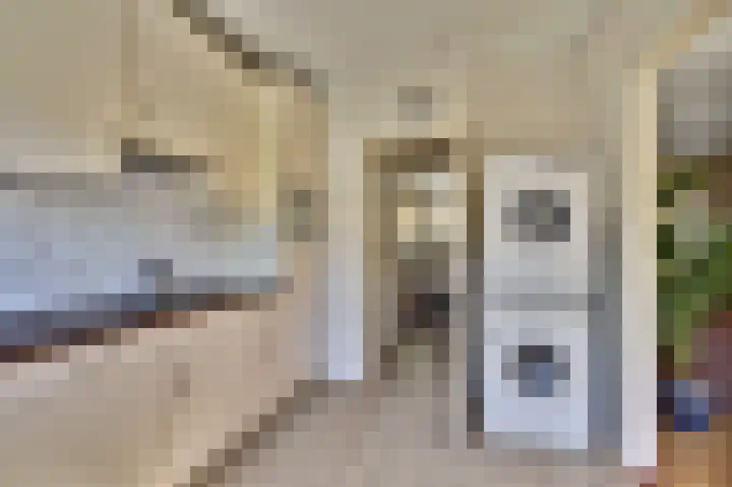 Brahmsstraat 3 Culemborg thumbnail 9