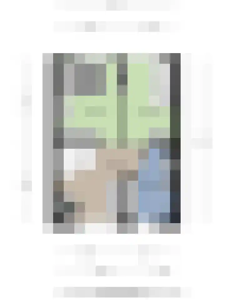 Brahmsstraat 30 Barendrecht thumbnail 36