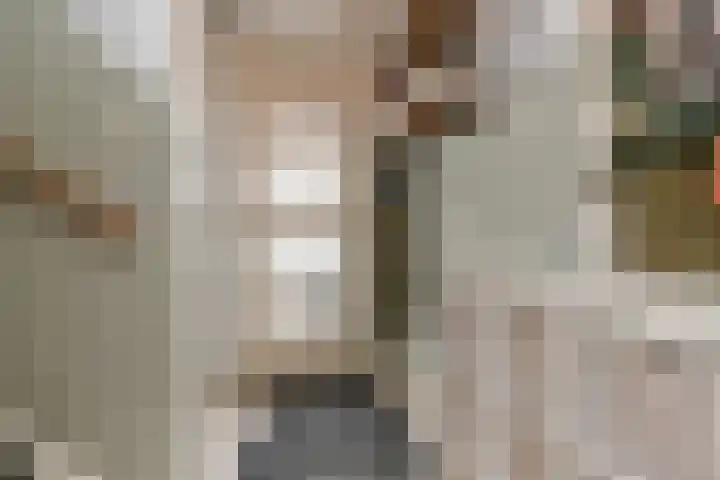 Brahmsstraat 33 Gouda thumbnail 7