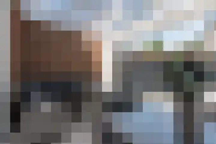 Brahmsstraat 33 Tilburg thumbnail 12
