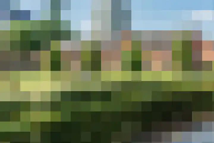 Brahmsstraat 33 Tilburg thumbnail 44