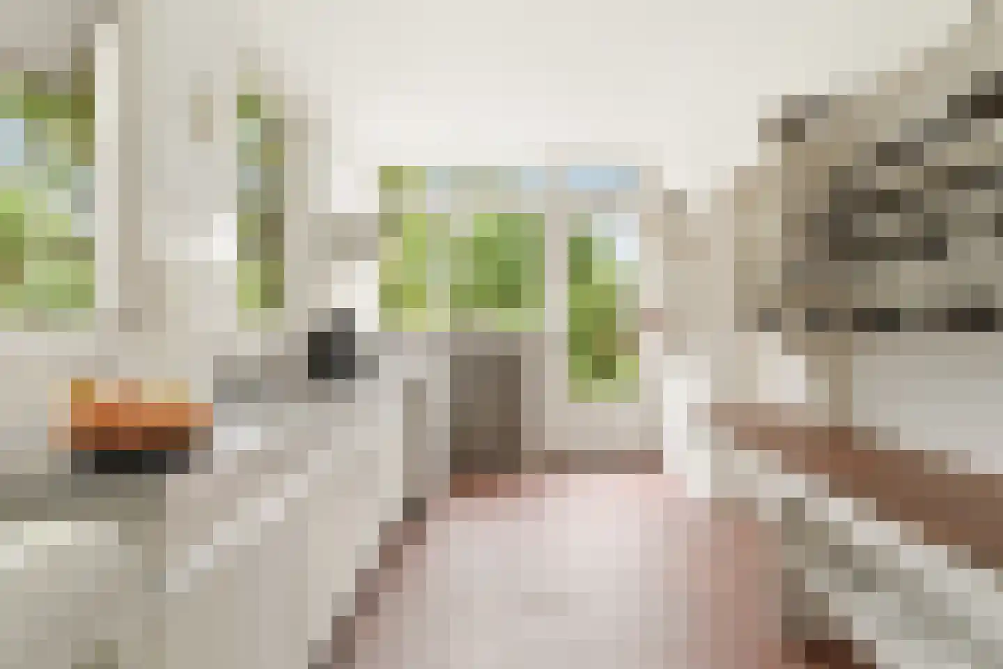 Brahmsstraat 35 Zevenaar thumbnail 18