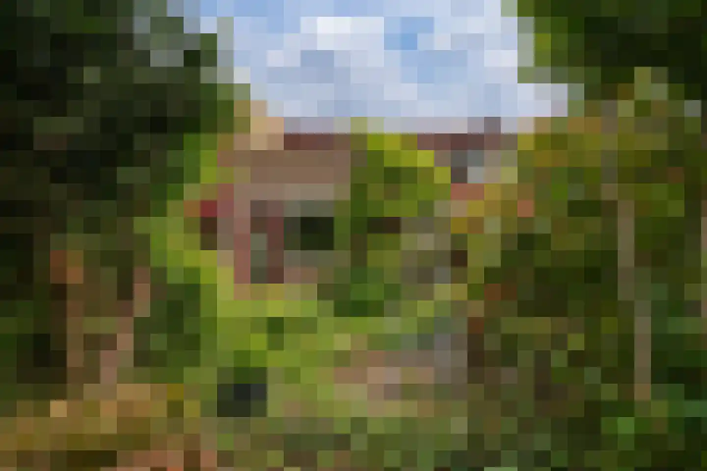 Brahmsstraat 35 Zevenaar thumbnail 24