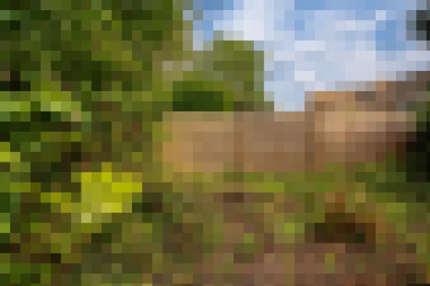 Brahmsstraat 35 Zevenaar thumbnail 25