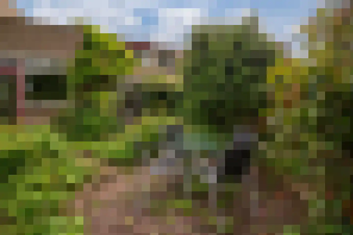 Brahmsstraat 35 Zevenaar thumbnail 26