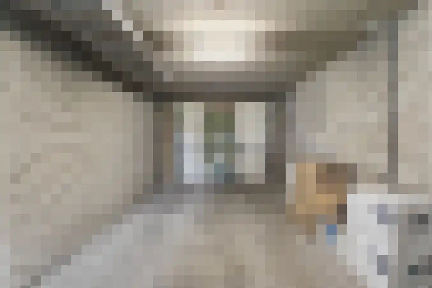 Brahmsstraat 35 Zevenaar thumbnail 28