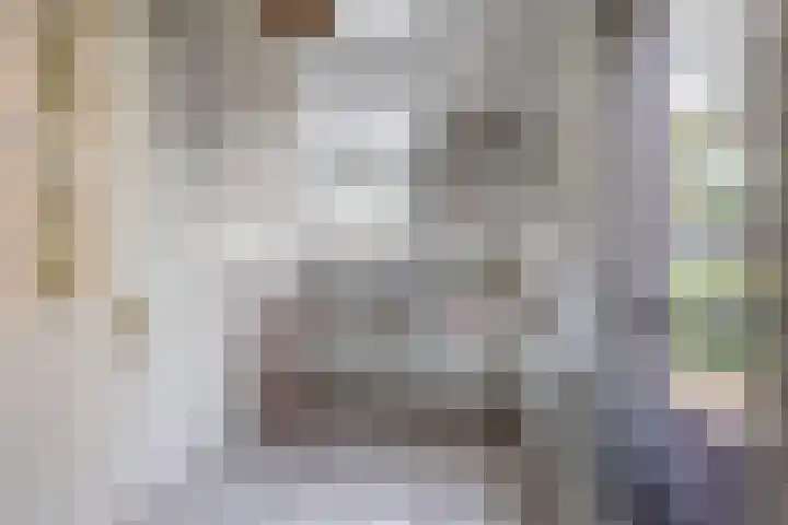 Brahmsstraat 4 Lisse thumbnail 11