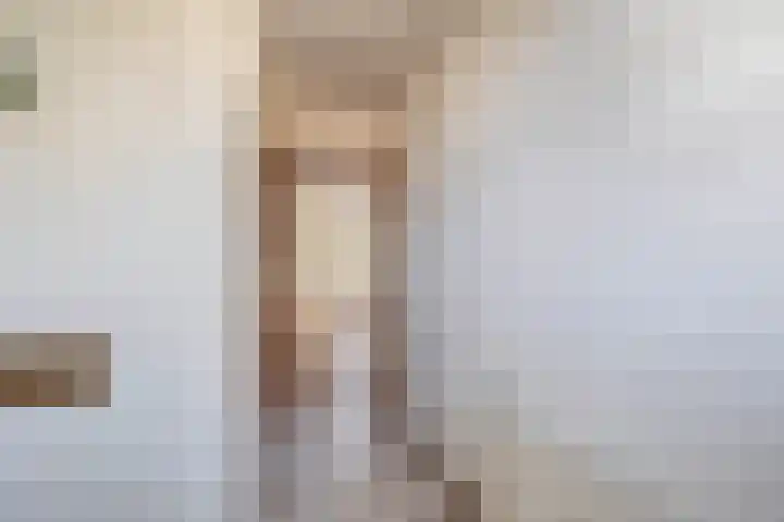 Brahmsstraat 4 Lisse thumbnail 13