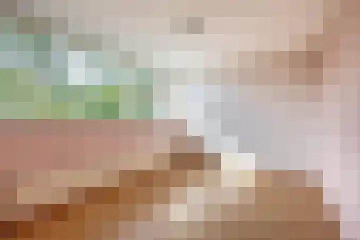 Brahmsstraat 4 Lisse thumbnail 20