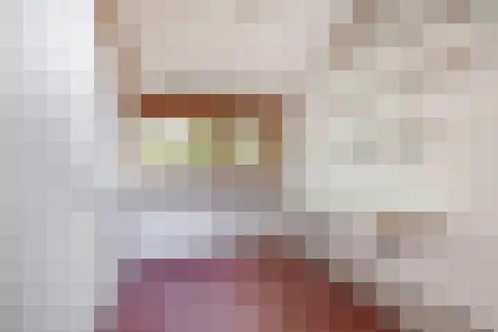 Brahmsstraat 4 Lisse thumbnail 30