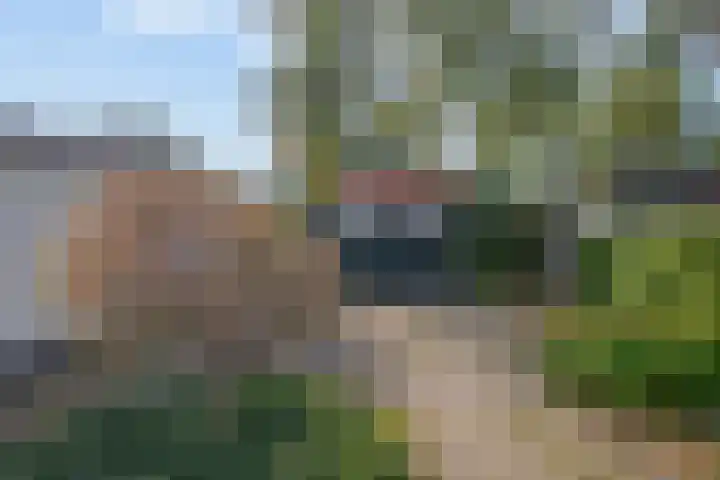 Brahmsstraat 4 Lisse thumbnail 32