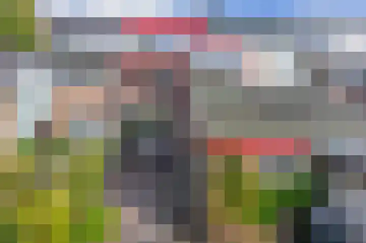 Brahmsstraat 4 Lisse thumbnail 33