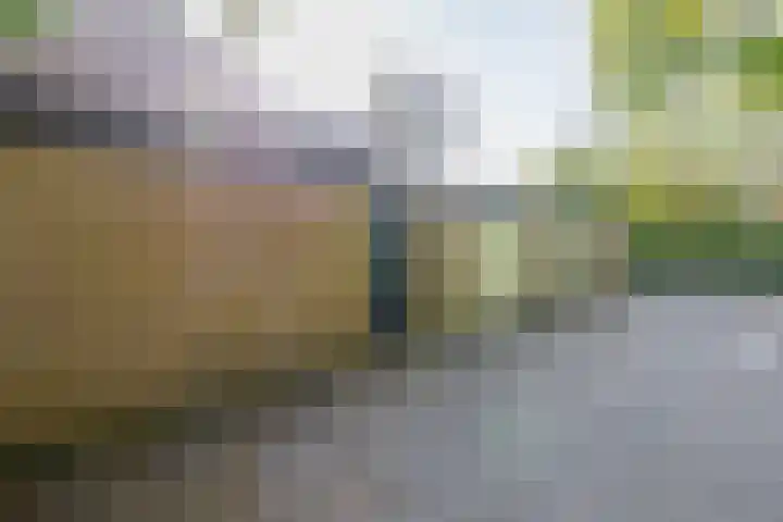 Brahmsstraat 4 Lisse thumbnail 37
