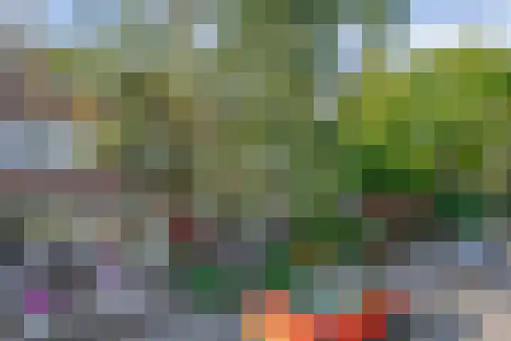 Brahmsstraat 4 Lisse thumbnail 39