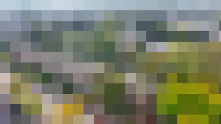 Brahmsstraat 4 Lisse thumbnail 45