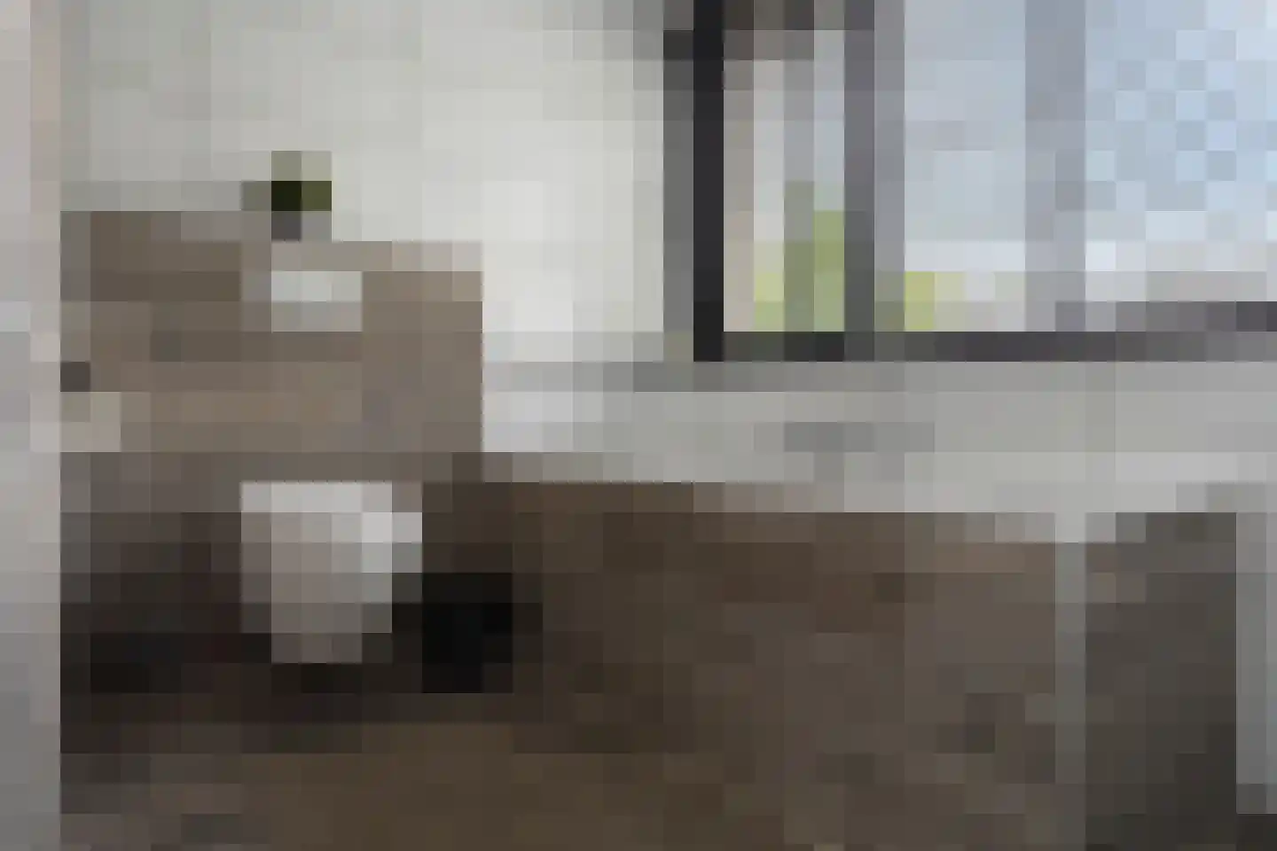 Brahmsstraat 4 Oosterhout thumbnail 19
