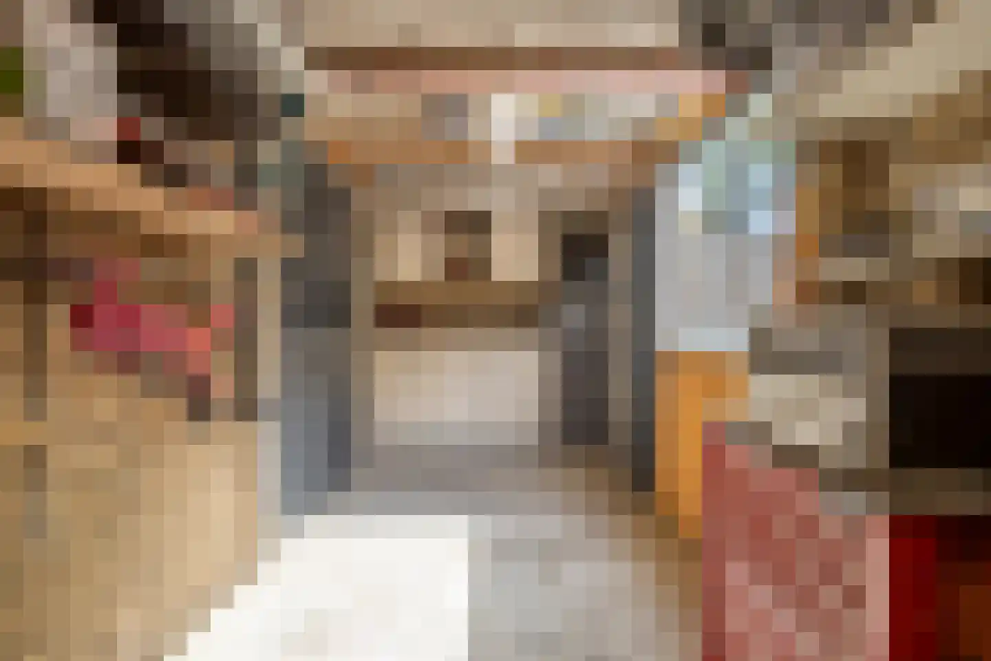 Brahmsstraat 4 Oosterhout thumbnail 30